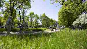 Blau-Grüner-Ring: Stadt passt Bepflanzung ans Klima an