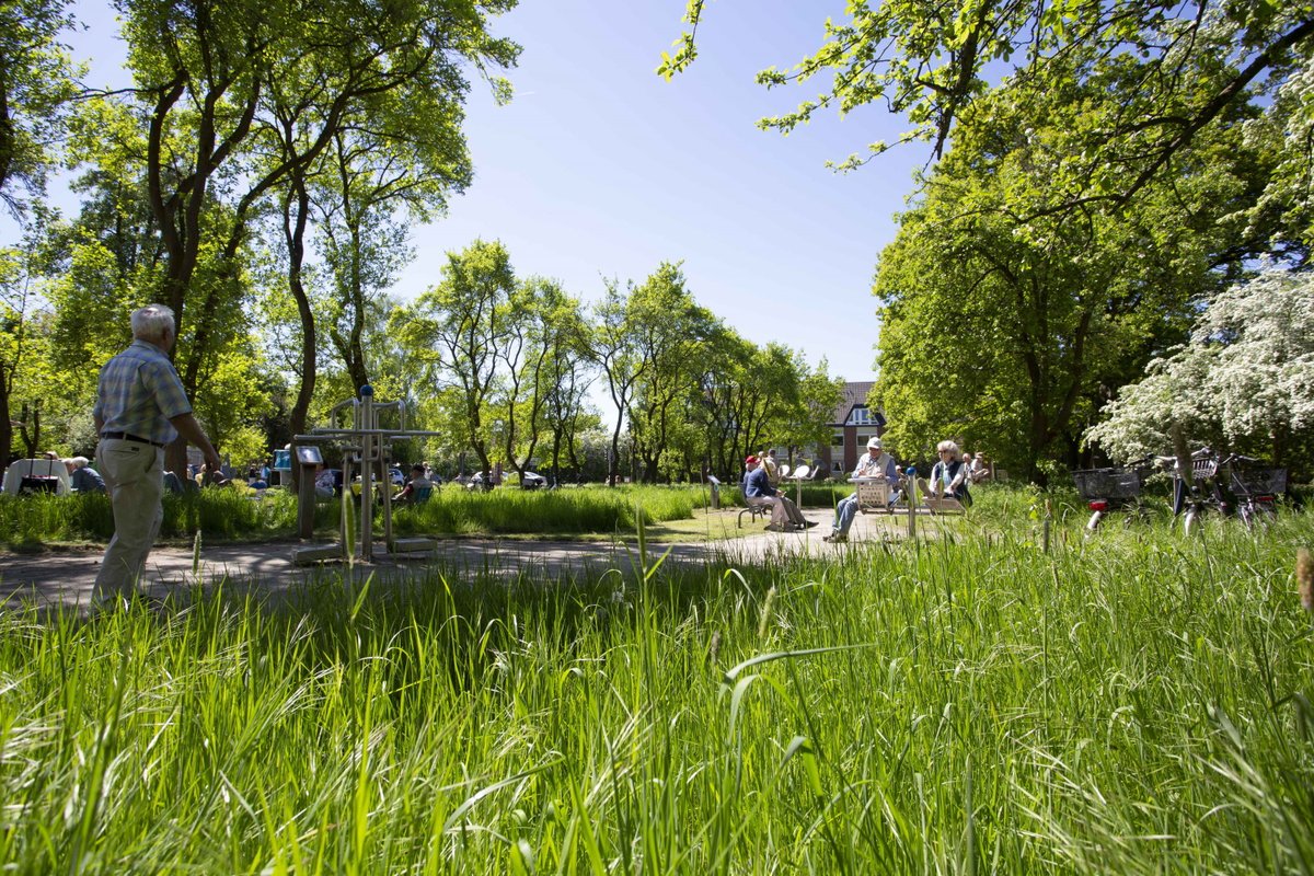 Blau-Grüner-Ring: Stadt passt Bepflanzung ans Klima an