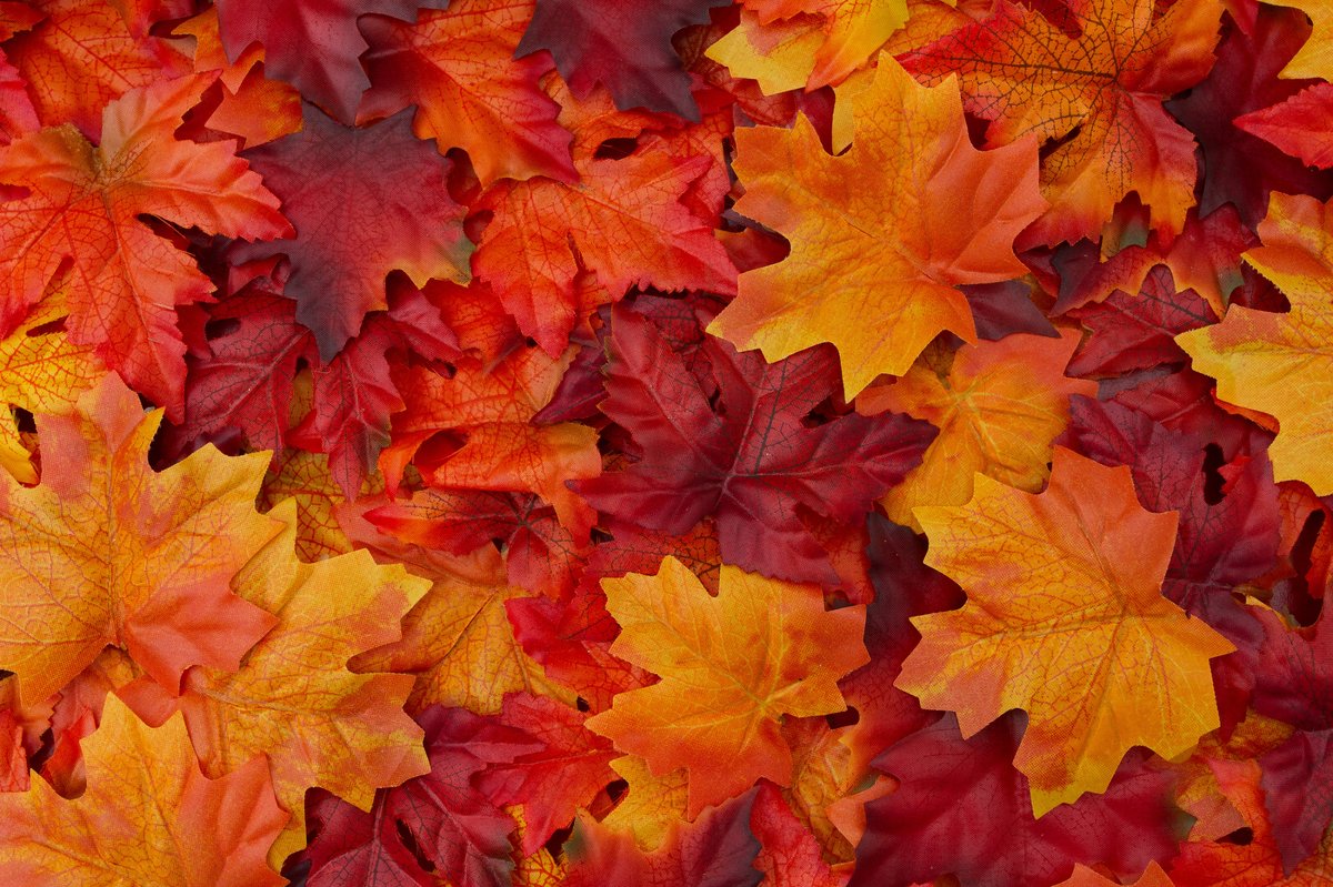 Kulturbüro macht Herbstferien