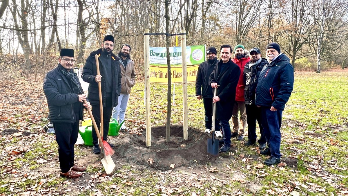 Ahmadiyya-Gemeinde pflanzt Friedensbaum