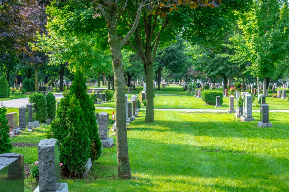 Friedhofsverwaltung bietet Sprechstunde an