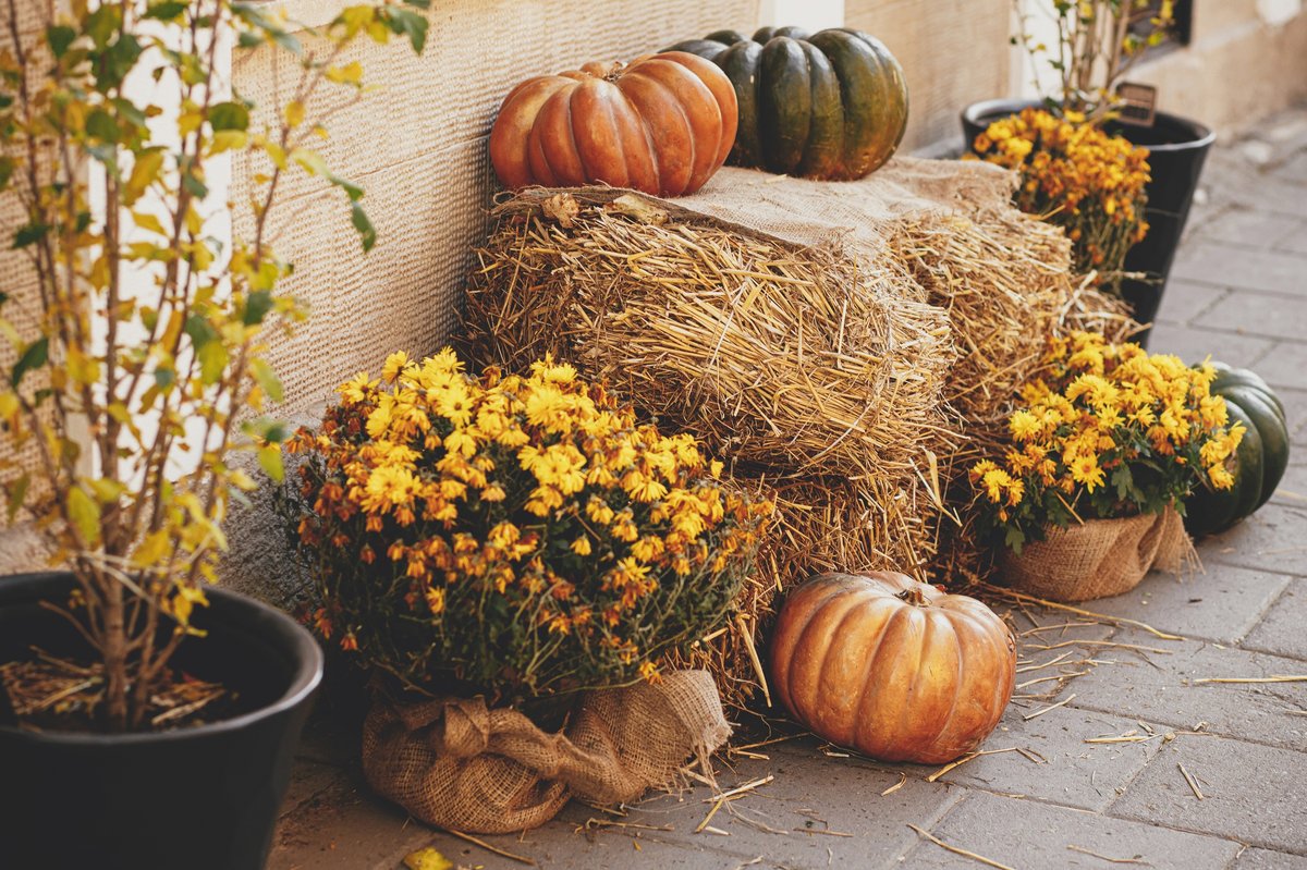 Herbstfest in Osterwald bietet viele Informationen