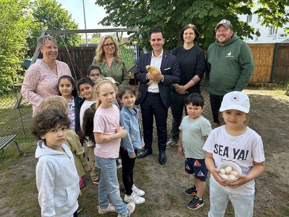 Hühner legen Eier für Kindergartenkinder