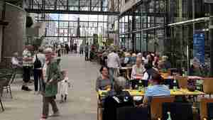 Freiwilligentag 2026 findet am 30. Mai statt