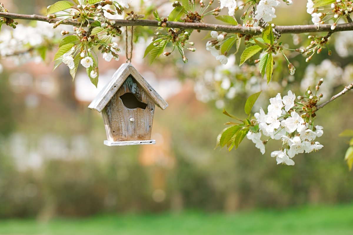 Zusatztermin für Vogelhaus-Aktion